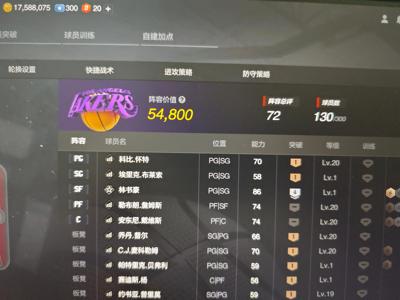 NBA2K OL2（端游）纯合同费1750w带林