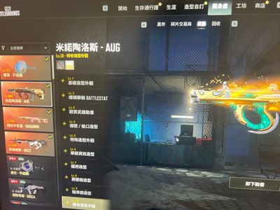 绝地求生（PUBG）金牛满级 赛博 塞壬锅8图纸 