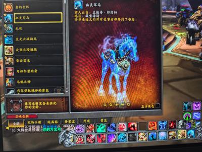 魔兽世界鎏金龙幽灵军马各种副本团本坐骑