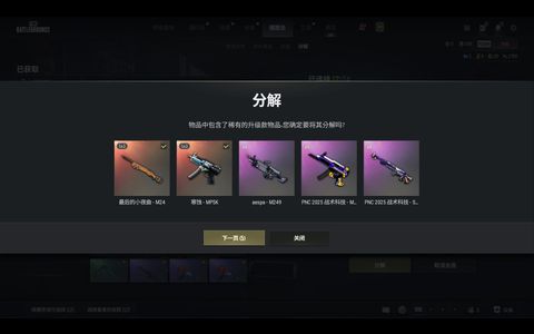 绝地求生（PUBG）双成长女团m249白熊套极工坊