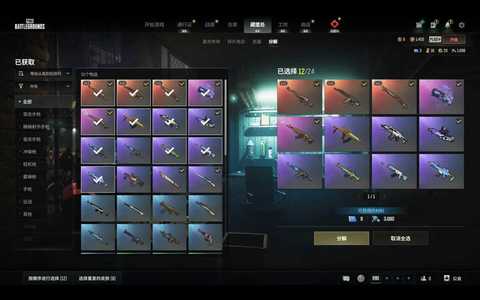 绝地求生（PUBG）三成长武器＋绝版工坊套装