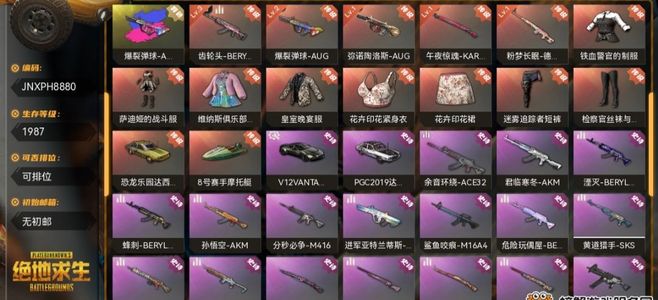 绝地求生（PUBG）稀有东西挺多