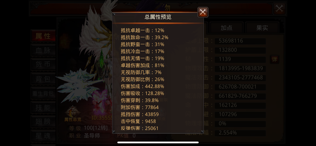 全民奇迹【12级魔法师】死区霸区圣导骑士