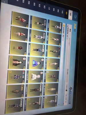 荒野行动【苹果版】a4无悔殿堂