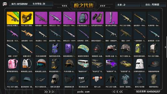 绝地求生（PUBG）生存等级20 名誉等级2 成长武器 究极 载具 枪皮五级ace