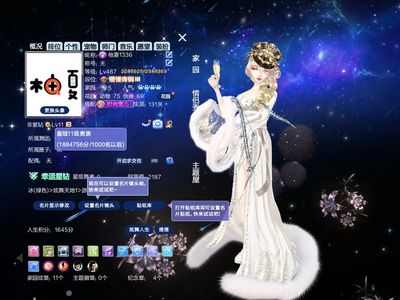 QQ炫舞【487级】妖瞳兔子狮心头总消费18W 