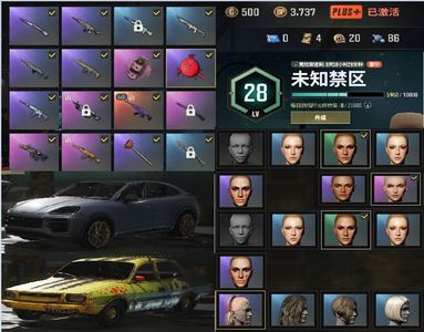绝地求生（PUBG）生存等级105 名誉等级2 成长武器 究极 载具 枪皮5级美杜莎 保时捷卡宴