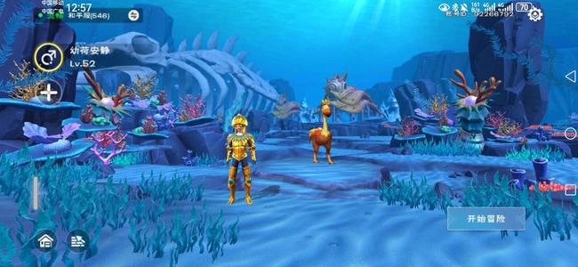 创造与魔法新手号52级