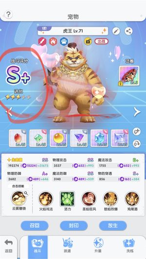 仙境传说：重生3星虎王宠/牧师专宠天波/