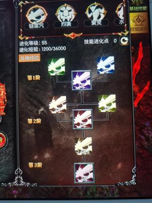 奇迹战神【821级法师】全满号，本服榜11