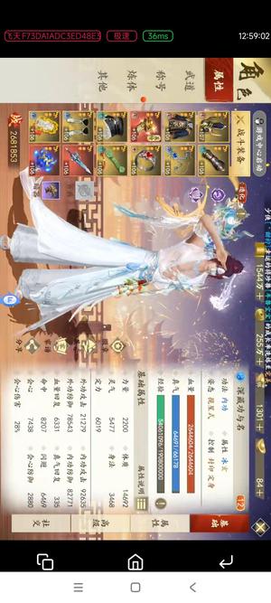 新天龙八部55区凤凰坐骑精品小武当