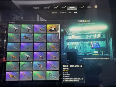 绝地求生（PUBG）生存等级1 名誉等级 成长武器 究极 载具 枪皮美杜莎金异色加原皮