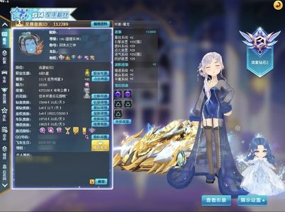 QQ飞车【196级】全29双四终麦屠龙-赵云靓号出