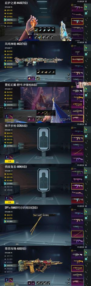 PUBG M（外服）4星圣装3满3播报战队服指挥官