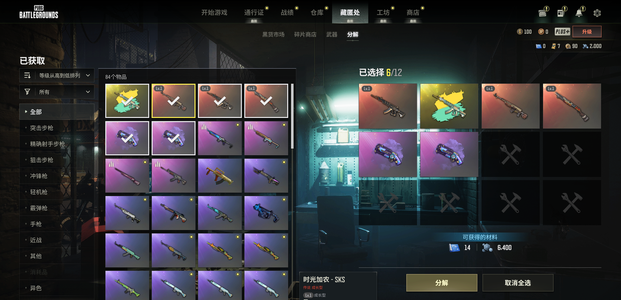 绝地求生（PUBG）ACE带异色加SKS加MK12