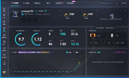 CSGO完美新兵号金b