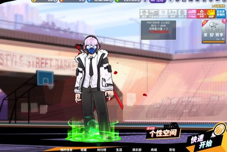 街头篮球（端游）四区中手狮子sg