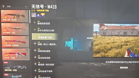 绝地求生（PUBG）生存等级52 名誉等级2 成长武器 究极 载具 枪皮四成长烟雾枪烟雾弹改名卡