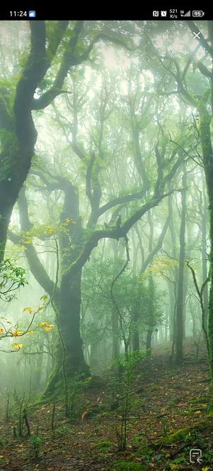 阴阳师一万多勾，星区，资源很多