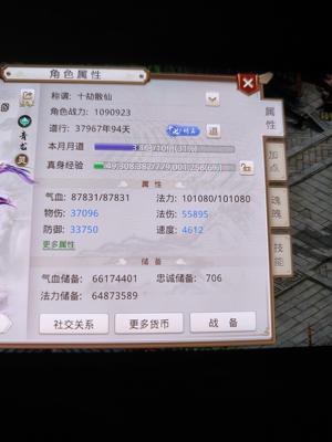 问道37967道法木