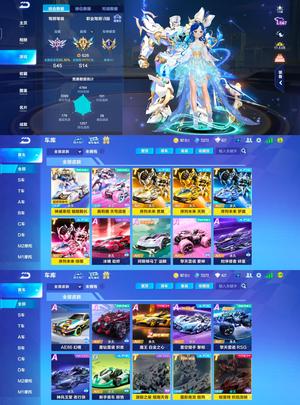 QQ飞车手游【84级】/3T新神威奥莉娜序列多皮多宠