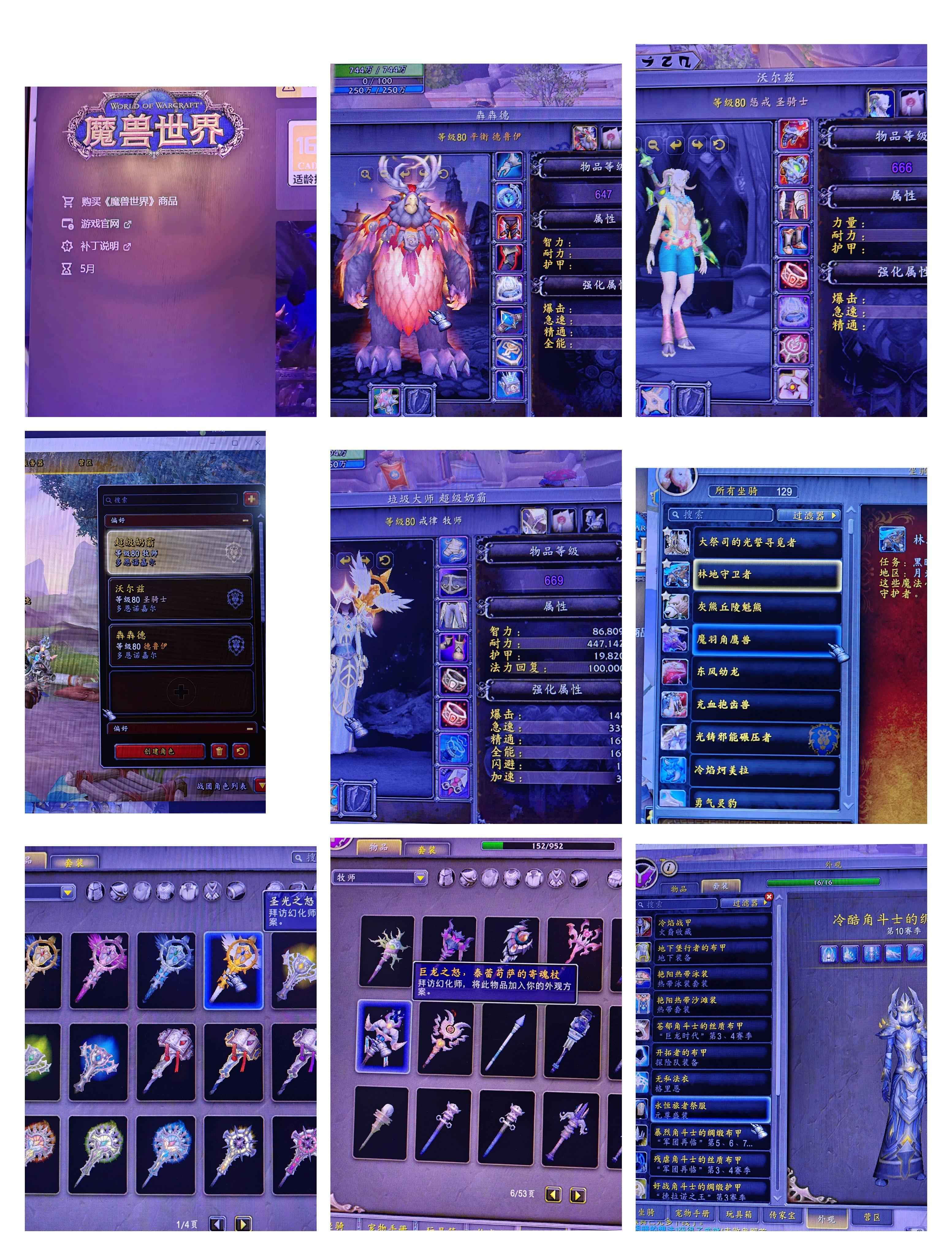 魔兽世界成品牧师绝版小樱仗