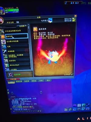魔兽世界13个角色，每个职业都有