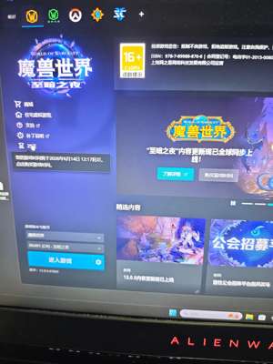 魔兽世界岁数大了玩不动了有凤凰