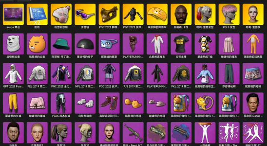 绝地求生（PUBG）10J朱雀满套女团