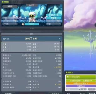 冒险岛（端游）【279级】T0神射手2600万战力永恒宠