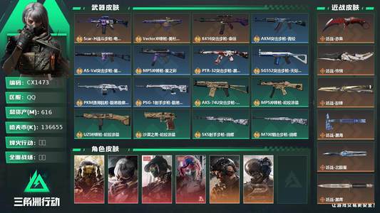 三角洲行动总资产616M 11干员外观 钻石
