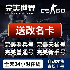 CSGOCS2完美新号带改名卡上号即玩