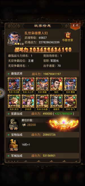 无双魏蜀吴火爆新区，榜一主力阵容