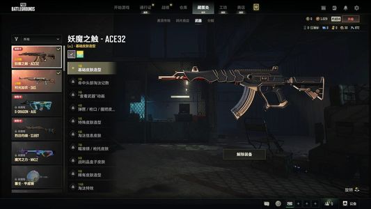 绝地求生（PUBG）双两把成长武器