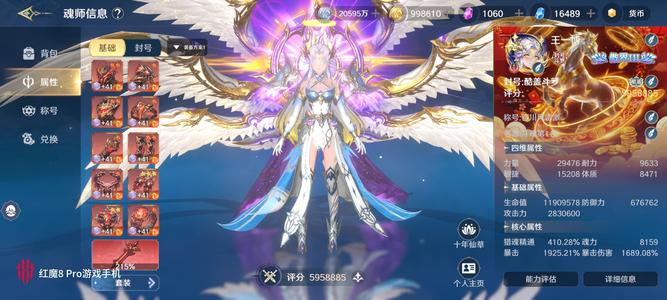 斗罗大陆：史莱克学院天斗皇家学院 大区