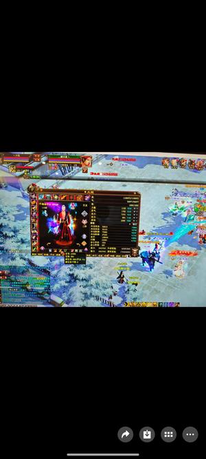 新天龙八部（端游）30万天龙带牛逼宝宝带元宝