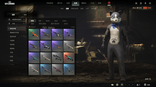 绝地求生（PUBG）598级金标/精品武器皮肤号