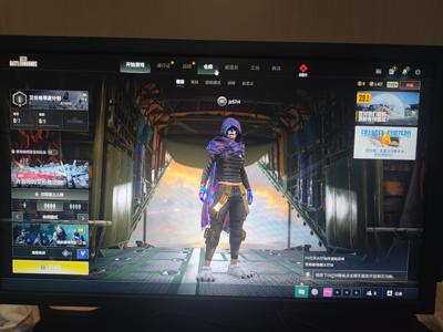 绝地求生（PUBG）mp5k成长加异色渣男头熊掌