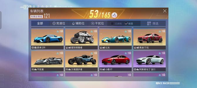 王牌竞速【1级】满级高配芯片圣骑士