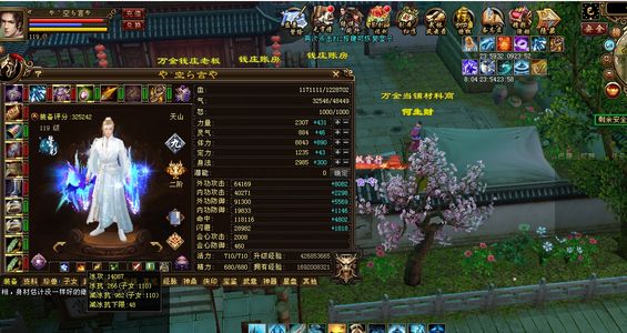 新天龙八部（端游）暴力天山没时间玩了带三十保险