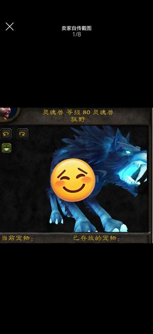 魔兽世界17紫电狼逐日和古德利亚