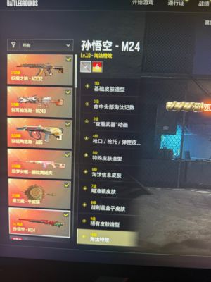 绝地求生（PUBG）满级m24孙悟空全套二代女团