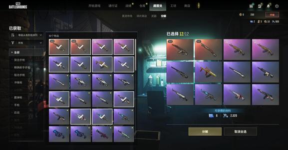 绝地求生（PUBG）双成长俩图纸加汉娜加多套装