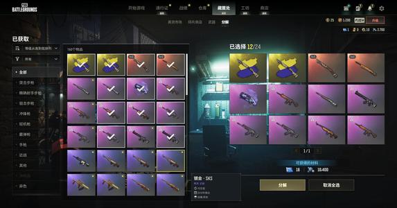 绝地求生（PUBG）双异色双成长一图纸烟枪