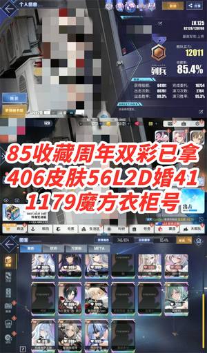 碧蓝航线1765-85收藏406皮肤