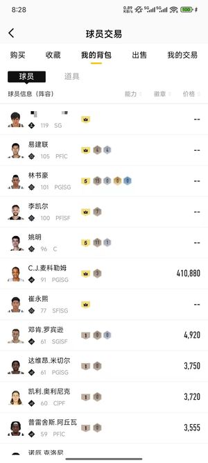 NBA2K OL2（端游）【阵容价值100万 球员12 满突6 合同费10万】9满训满自建龙之队中国队
