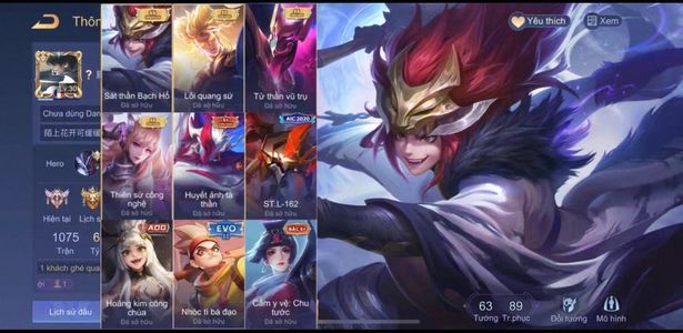 传说对决（外服）【30级】传说对决越南服满铭文