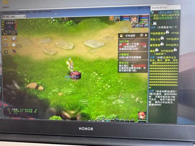 梦幻西游（端游）【49级普陀山.普陀山】69半年540至尊绿通号可五开