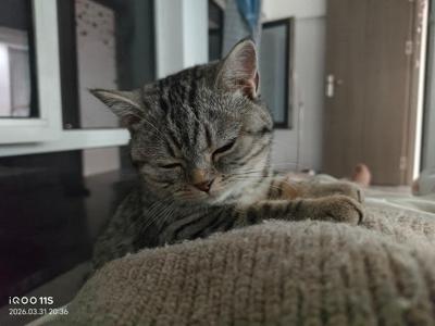 七日世界（手游版）七日世界账号