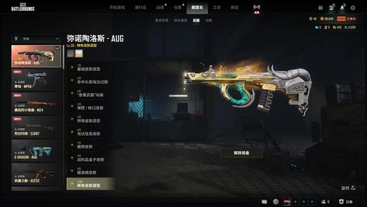 绝地求生（PUBG）满级牛头Aug带异色，布加迪